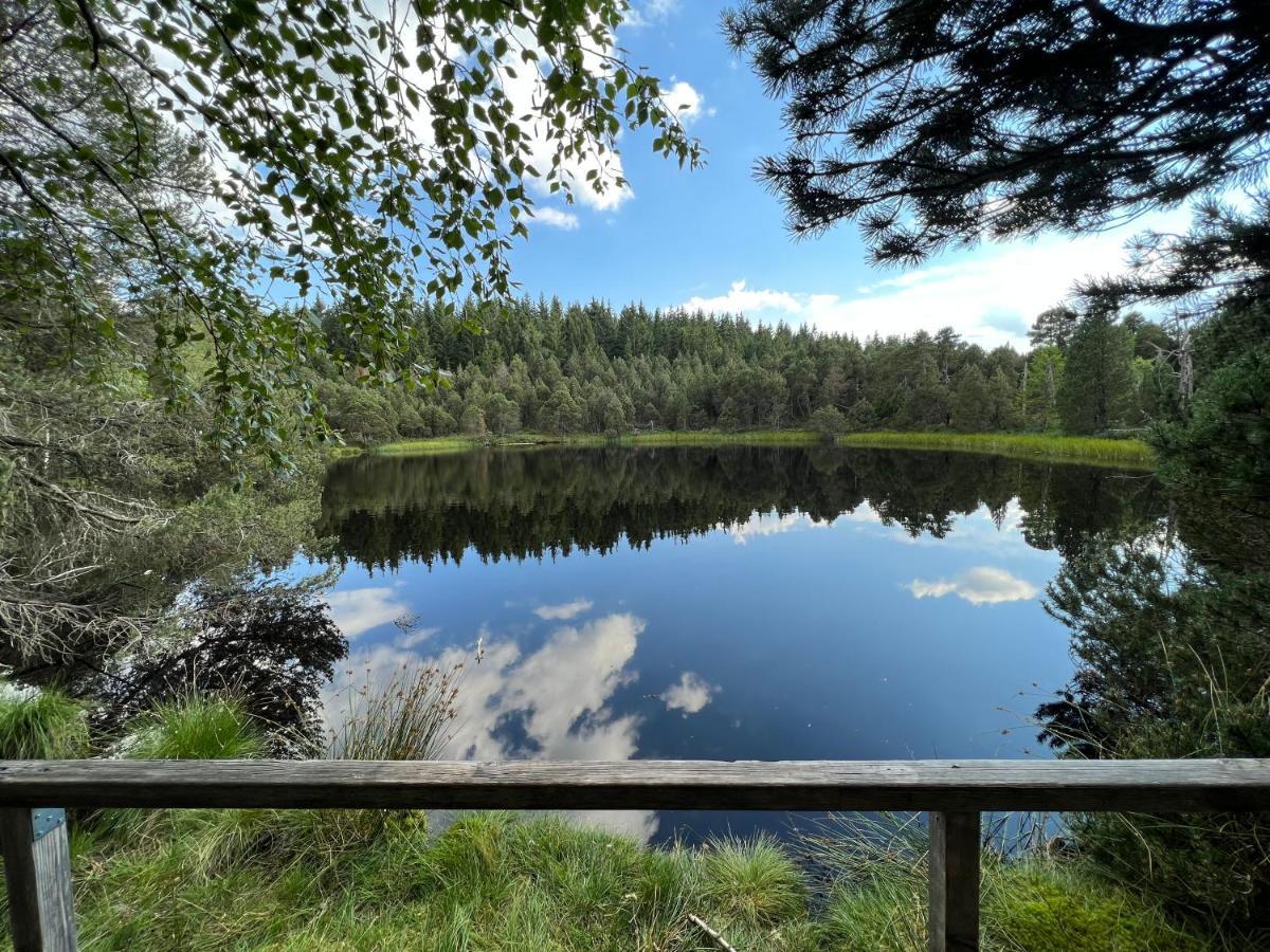 Apartment Annis Panoramablick Pool Sauna Tennis Schonach im Schwarzwald Eksteriør bilde
