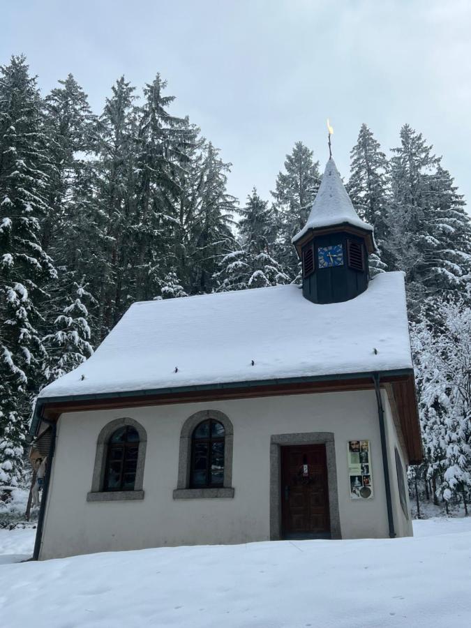 Apartment Annis Panoramablick Pool Sauna Tennis Schonach im Schwarzwald Eksteriør bilde