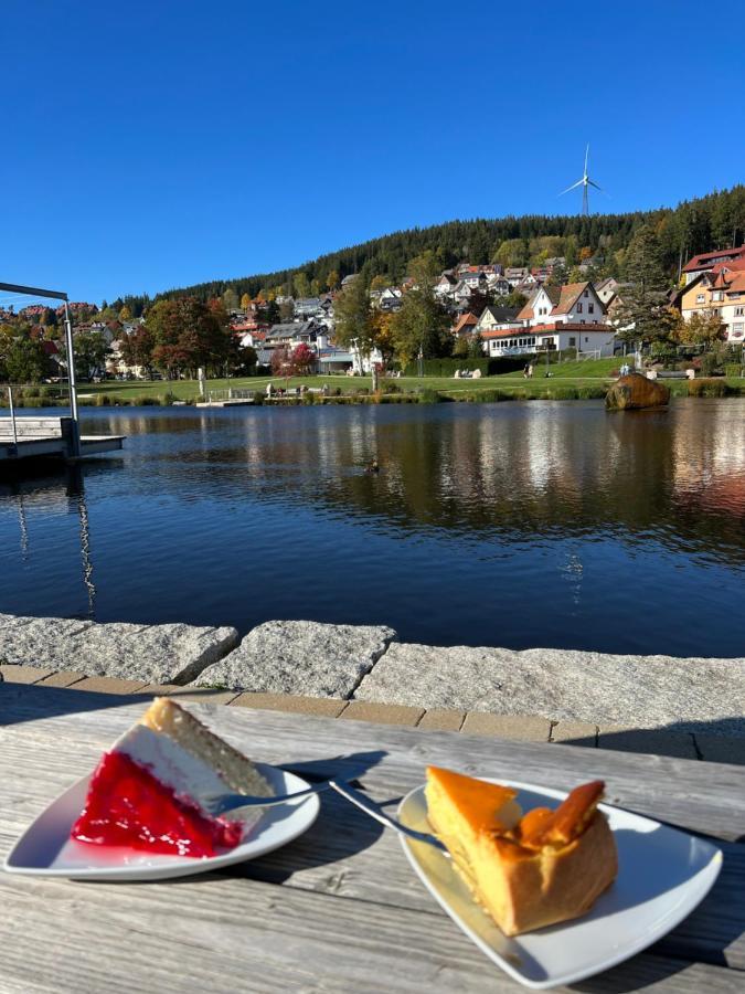 Apartment Annis Panoramablick Pool Sauna Tennis Schonach im Schwarzwald Eksteriør bilde