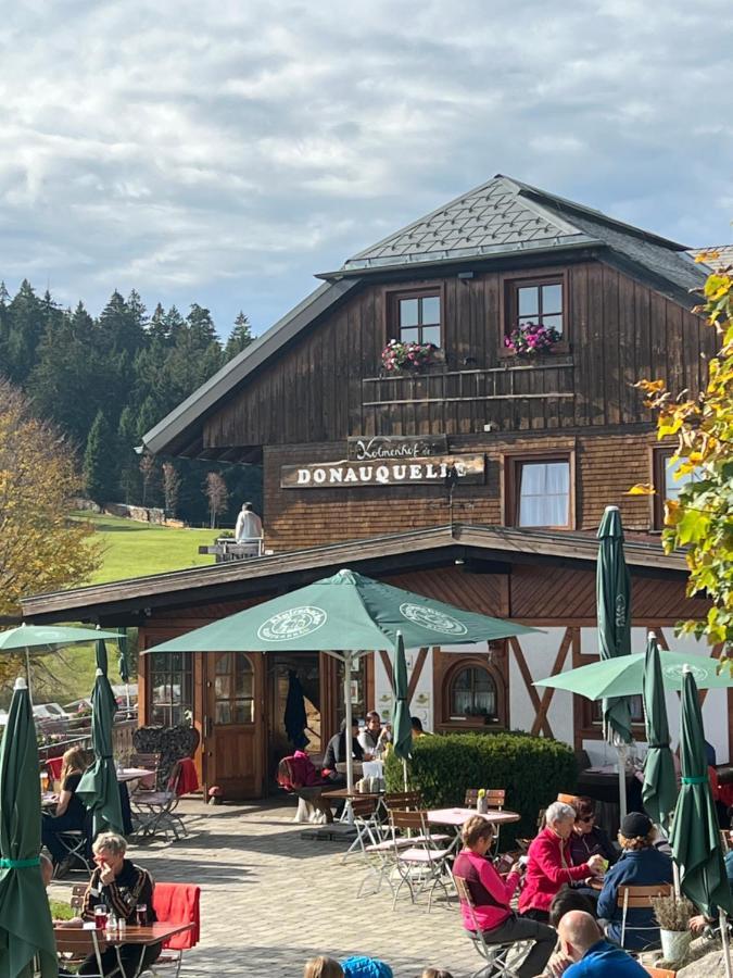 Apartment Annis Panoramablick Pool Sauna Tennis Schonach im Schwarzwald Eksteriør bilde